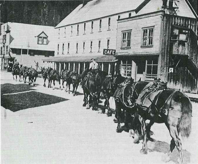 Herb Charlton with his pack train enroute to the Porter Idaho Claims