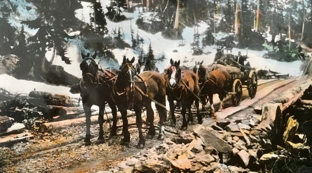 Herb Charlton with his pack train enroute to the Porter Idaho Claims