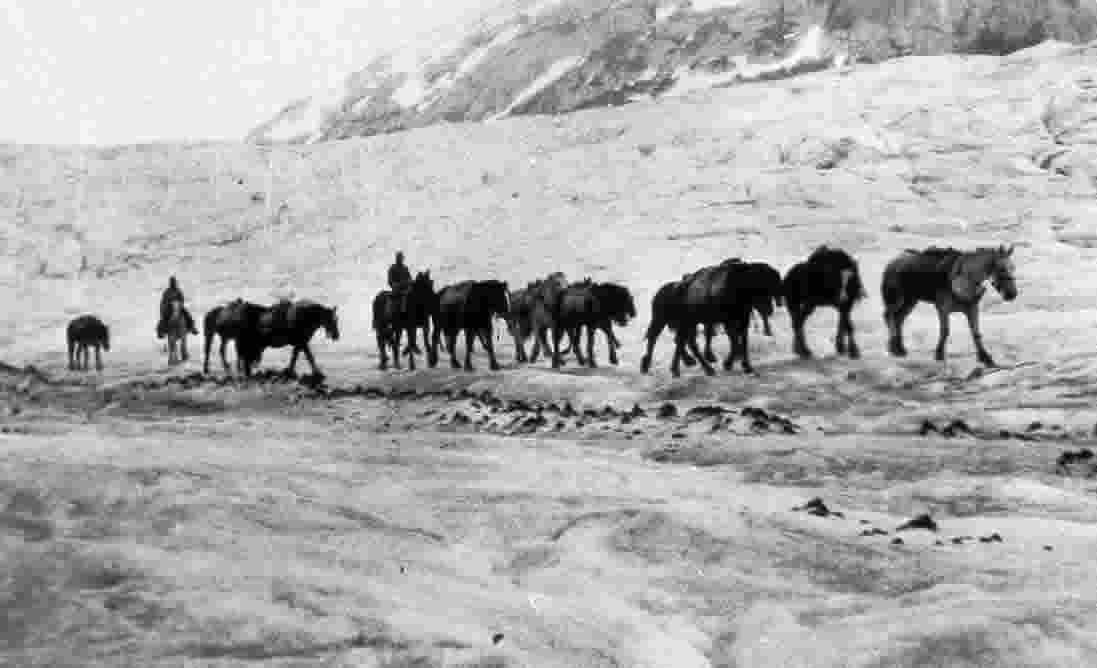 Rennie's Pack Train Hauling in wares to minesite